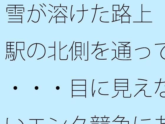 雪が溶けた路上  駅の北側を通って・・・・目に見えないエンタ競争にあっぷあっぷしながら アイキャッチ画像 【【新作】爆売れFANZA同人案内所】